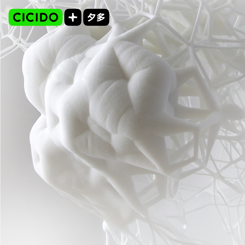 DUGAHOME TWO LAYER CAR LUMBAR SUPPORT